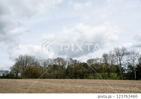 どんよりとした曇り空の下の種まき前の荒涼とした畑と芽が出る前の裸の木々　ロンドン郊外にて 123763460