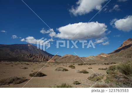 Majestic landscape in El Teide National Park, Canary Islands Majestic landscape in El Teide National Park, Canary Islands 123763583