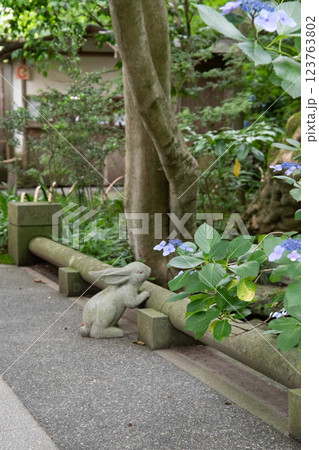 紫陽花のある風景 123763802
