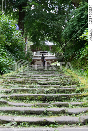 緑に覆われた階段 123763824