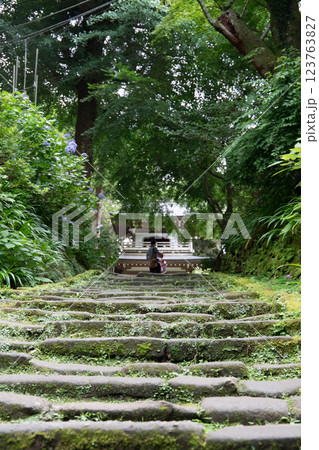 緑に覆われた神社の参道 緑に覆われた神社の参道 123763827
