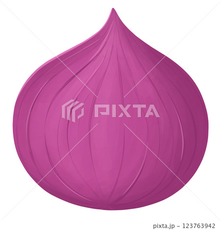 Shallots purple onions red vegetables 123763942
