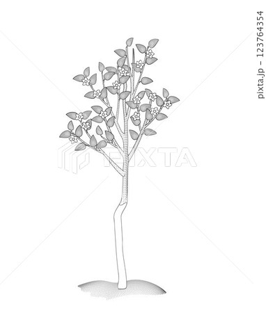 blossoming apple tree with whitewashed trunk black and white vector illustration blossoming apple tree with whitewashed trunk black and white vector illustration 123764354