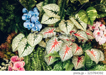 Herb wall, plant wall, natural green wallpaper and background. Herb wall, plant wall, natural green wallpaper and background. 123764392