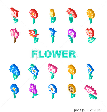 Flower Natural Aromatic Plant Icons Set Vector Flower Natural Aromatic Plant Icons Set Vector 123764466