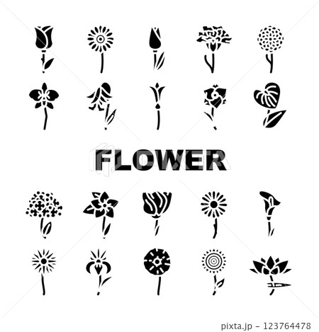 Flower Natural Aromatic Plant Icons Set Vector 123764478