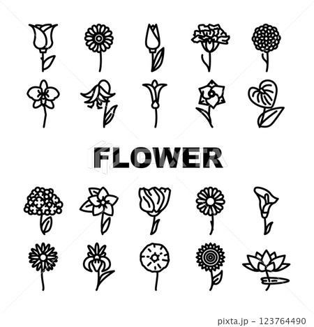 Flower Natural Aromatic Plant Icons Set Vector Flower Natural Aromatic Plant Icons Set Vector 123764490