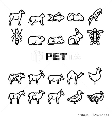 Pet Domestic, Farm And Sea Aqua Icons Set Vector 123764533