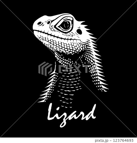 Lizard head on black background. . hand drawing. Not AI, Vector illustration 123764693