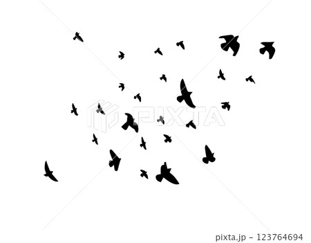 Flying birds silhouette flock. hand drawing. Not AI. Vector illustration 123764694
