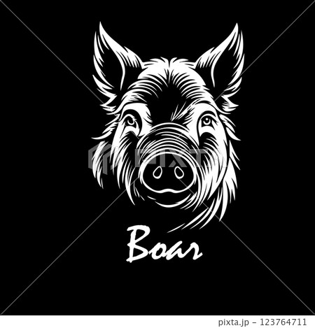 Boar head on black background. hand drawing. Not AI, Vector illustration Boar head on black background. hand drawing. Not AI, Vector illustration 123764711