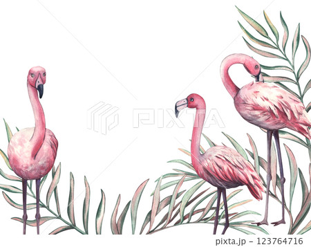 Watercolor frame of palm branches and pink flamingo with space for text. Exotic African animal isolated on white background. Tropical template for design of cards and invitation 123764716