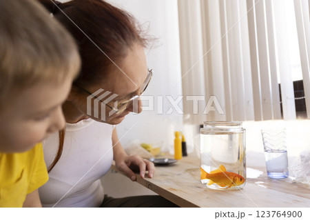 Mother and son admiring goldfish in glass jar 123764900