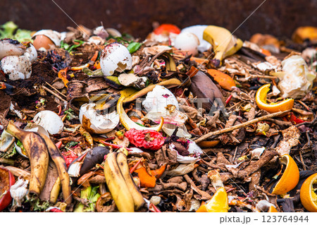 composting pile of vegetables fruits. Concept Organic waste, clean environment 123764944