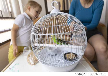 Green budgie perched in white cage, observing curious child and woman 123764980