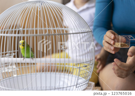 Family taking care of green budgie in white cage 123765016