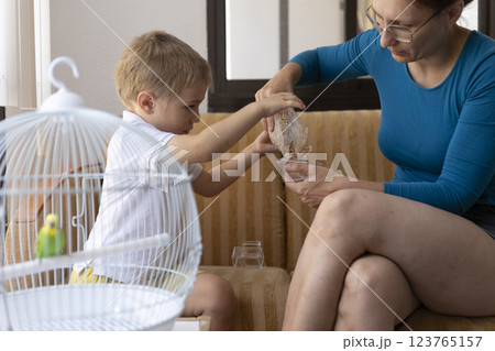 Mother and son feeding pet budgie bird in cage at home 123765157