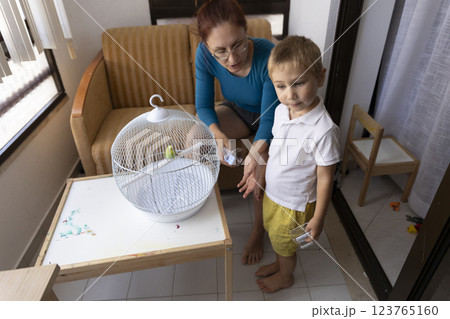 Mother and son caring for pet budgie in home environment 123765160