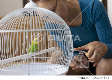 Woman refilling bird feeder in white cage with budgie parrot Woman refilling bird feeder in white cage with budgie parrot 123765164