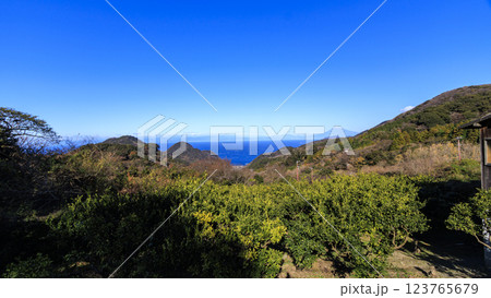 冬の駿河湾を望む富士山・南アルプスの石部の棚田 冬の駿河湾を望む富士山・南アルプスの石部の棚田 123765679