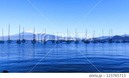 駿河湾から望む富士山 123765713