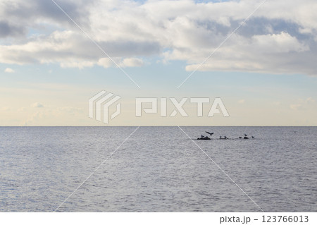 Peaceful seascape featuring a calm ocean, birds resting on stones Peaceful seascape featuring a calm ocean, birds resting on stones 123766013