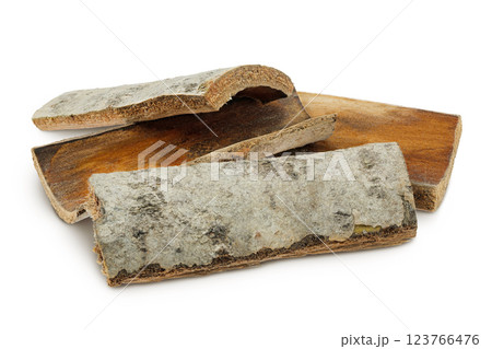 piece of aspen bark. Isolated on white background. 123766476