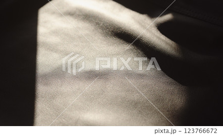 soft supple gray leather background with light streak from sun soft supple gray leather background with light streak from sun 123766672