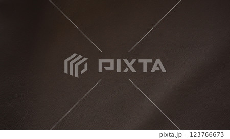 soft supple gray leather background 123766673