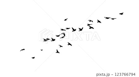 Flying birds silhouette flock. hand drawing. Not AI. Vector illustration Flying birds silhouette flock. hand drawing. Not AI. Vector illustration 123766794