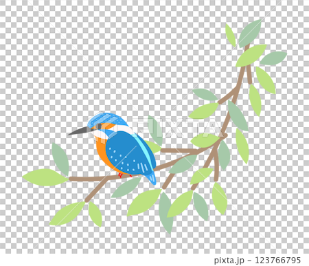 枝に止まるカワセミ　リース　野鳥　鳥 123766795