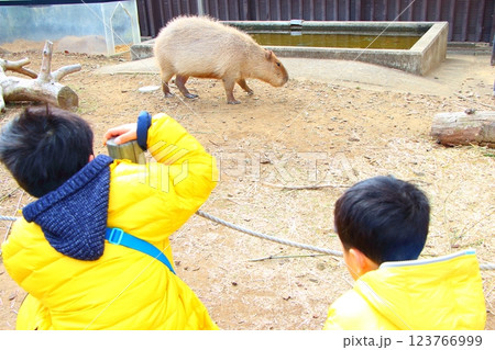 動物園で遊ぶ兄弟 123766999
