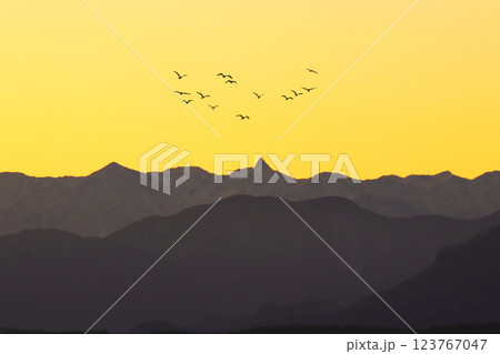 黄昏の山稜と渡り鳥の群れ 123767047