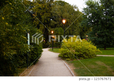 Winding park pathway with illuminated street lamps surrounded by lush greenery and trees at dusk. Evening park scenery and urban nature concept 123767671