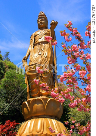 八重桜満開の一心寺（観音像・大分市・縦構図） 123767787