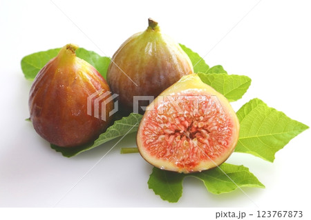 イチジク イチジク 123767873