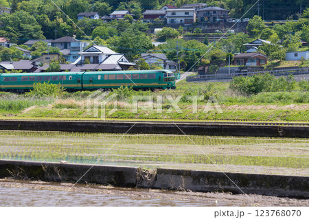 ゆふいんの森号と田んぼ（大分県由布市湯布院） 123768070