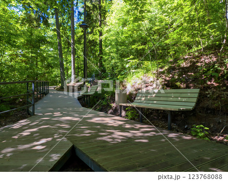 Empty wood bench on walkway made by wooden boards outdoors among forest or park with lush green trees at sunny summer day. With no people serene woodland landscape. 123768088