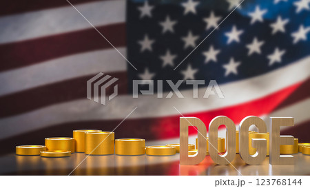The Doge and coins on USA flag Background  3d Rendering. 123768144