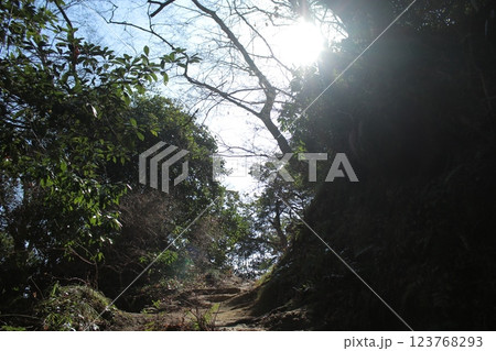 高麗山公園 高麗山公園 123768293