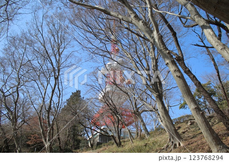 高麗山公園 123768294