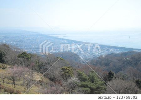 高麗山公園 123768302