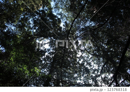 筑波山の風景 123768318