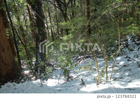 筑波山の風景 筑波山の風景 123768321