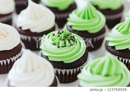Chocolate cupcakes with green and white swirled frosting. 123768936