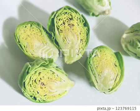 芽キャベツの写真素材 123769115