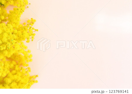 ピンクの背景にミモザの花束 1 123769141