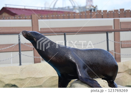 大阪天王子動物園の暖かな一日 123769269