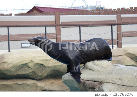 大阪天王子動物園の暖かな一日 123769270