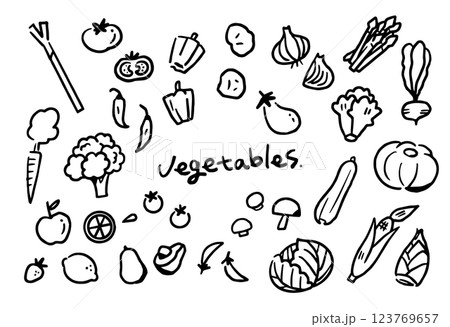 手描き　野菜　イラストセット　線画 123769657